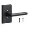 Sure-Loc Hardware Sure-Loc Hardware Logan Dummy Lever, Flat Black LN100 FBL - alternate 3